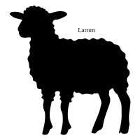 Lamm