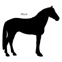 Pferd