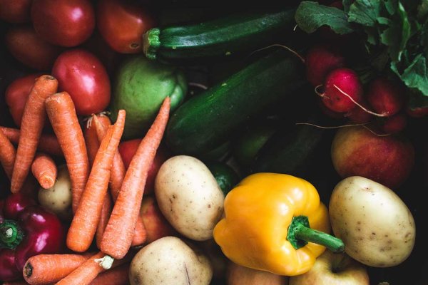 Gemüse in ausgewogener Hundeernährung - 