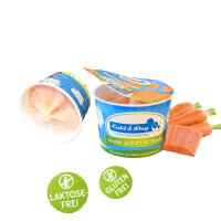 Frozen Joghurt mit Wildlachs