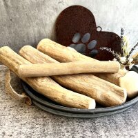 Kaffeebaumknochen XS