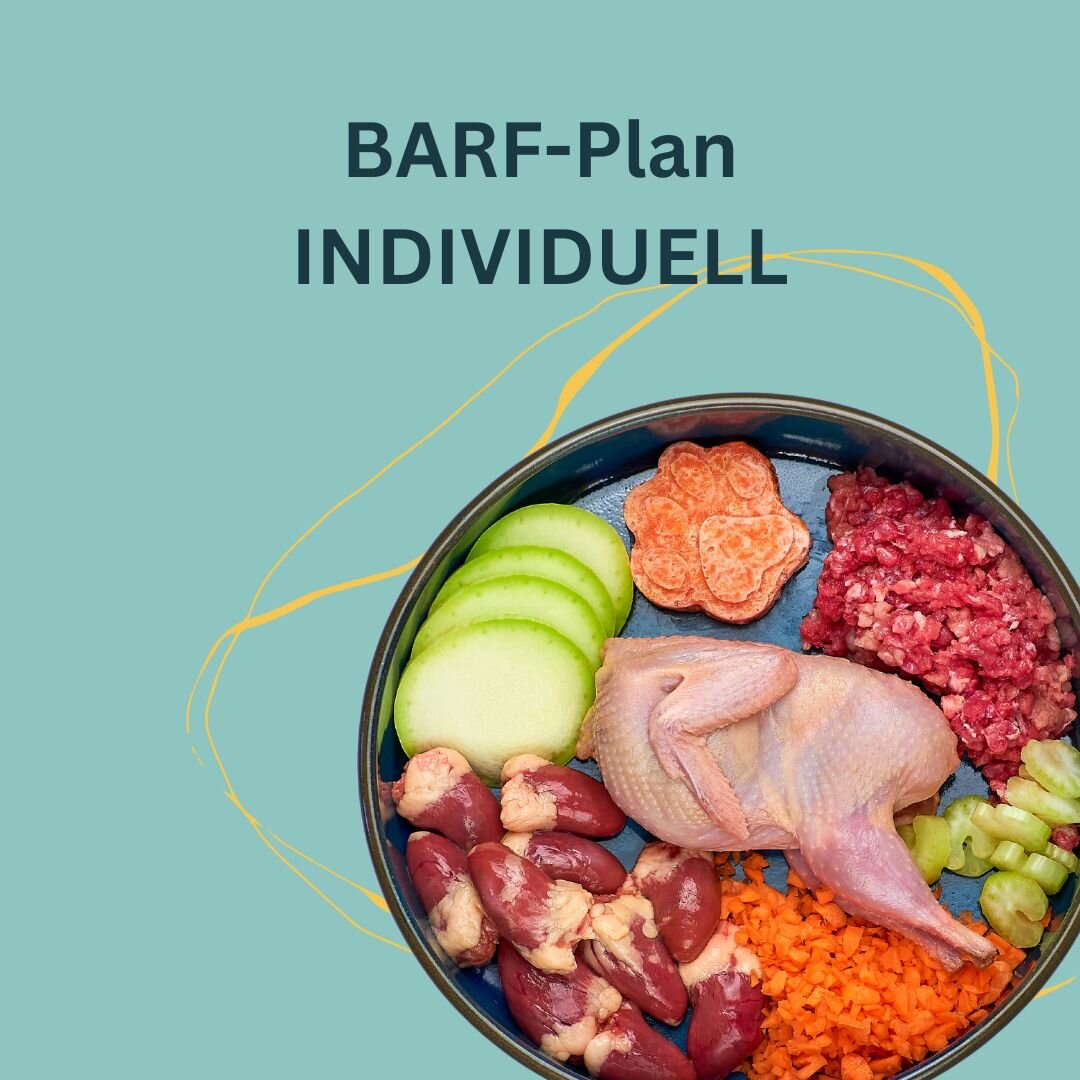BARF-Plan Individuell, 90,00