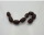 Salamipralinen Pferd