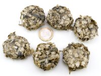 Dorschhaut-Taler 500g