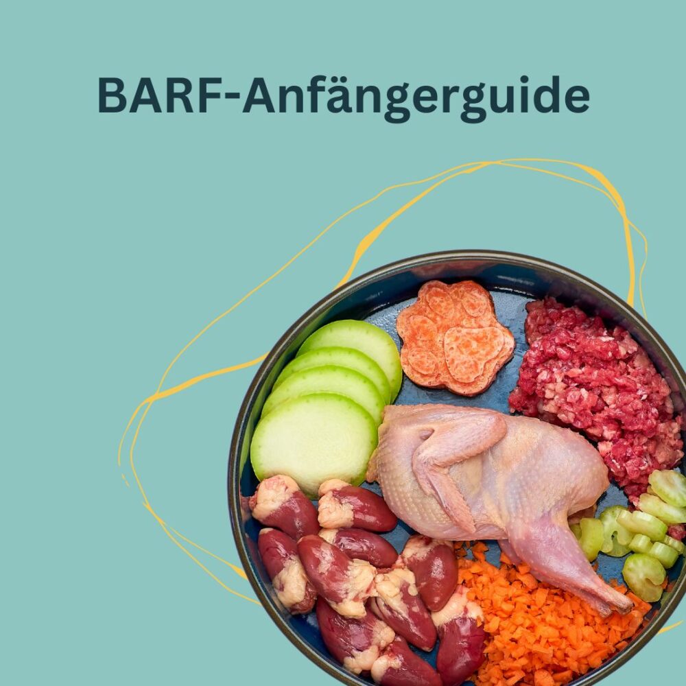 BARF-Anfängerguide