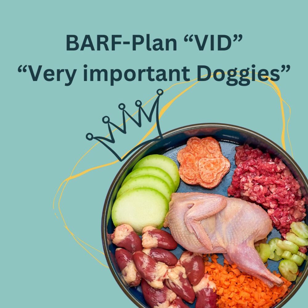 BARF-Plan VID